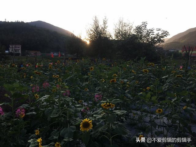 幸福里包包(happylane是什么牌子？)