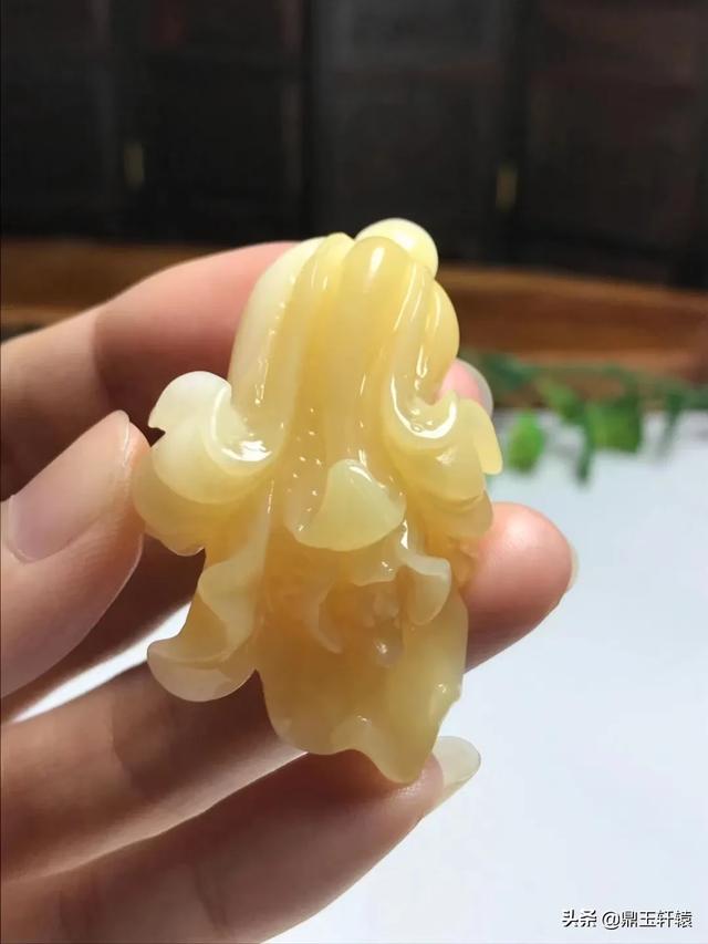 胭脂贝有什么功效(图5)