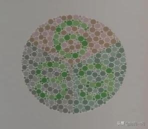 色盲色弱测试图及答案(驾照体检色盲图有几张？)