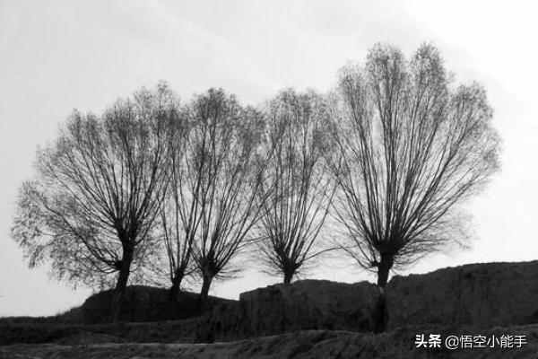 兰州市最好玩地方是哪里