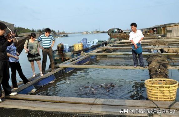 海洋网箱养殖是生态农业，海洋网箱养殖是生态农业吗