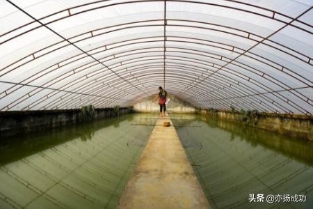 建个养殖大棚大概多少钱 如何建养殖大棚？