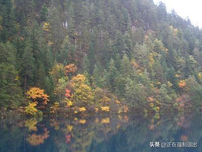 瑞金叶坪红色旅游景区介绍推荐语_瑞金城外有个村子叫沙洲坝照样子写句话写一句话，什么有什么？