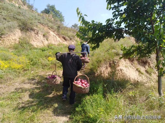 推动减税降费，安徽国家税务局助力中小企业发展，减税降费对中小企业发展