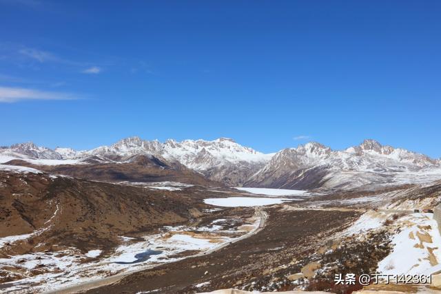 美术app开发前景