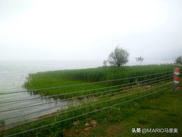 云南丽江市古城区摘枇杷民宿帮忙推荐几个,丽江附近哪里有果园采摘