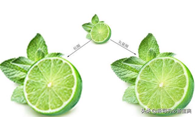 位图和矢量图位图和矢量图的区别