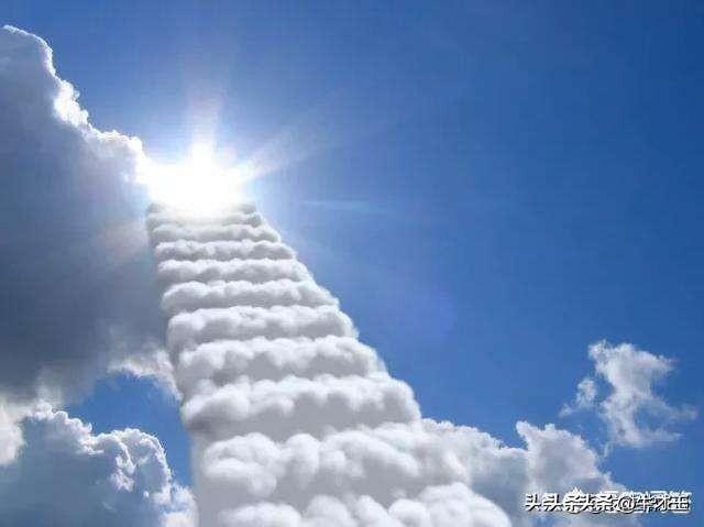 雨有什么功效(图6)