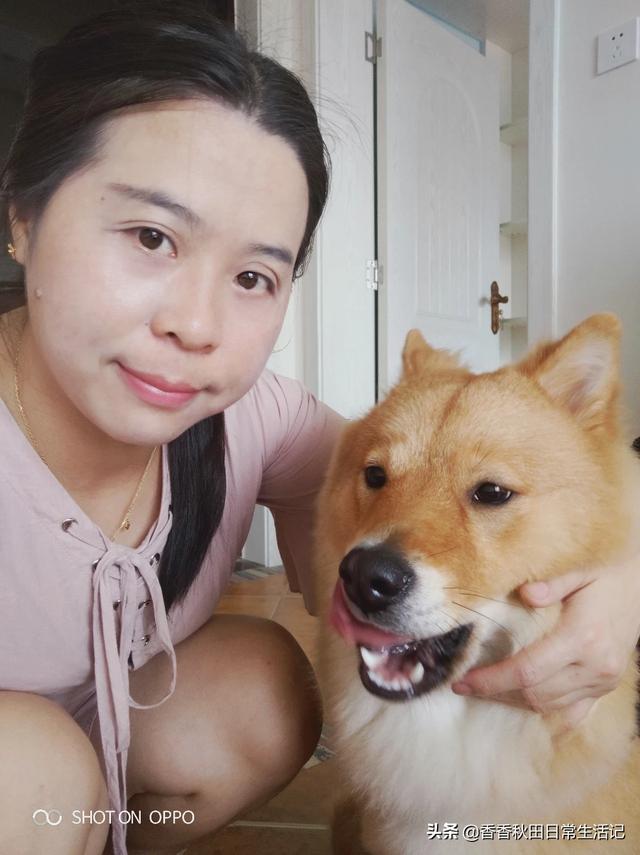 求助-拉布拉多幼犬怎么训练去卫生间大小便,第4张
