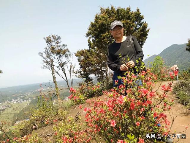 重庆夏天旅游穿搭， 重庆夏天旅游穿搭图片