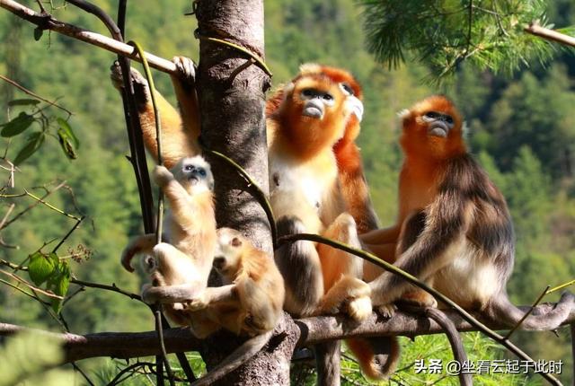 来湖北旅游必去的景点(图5)