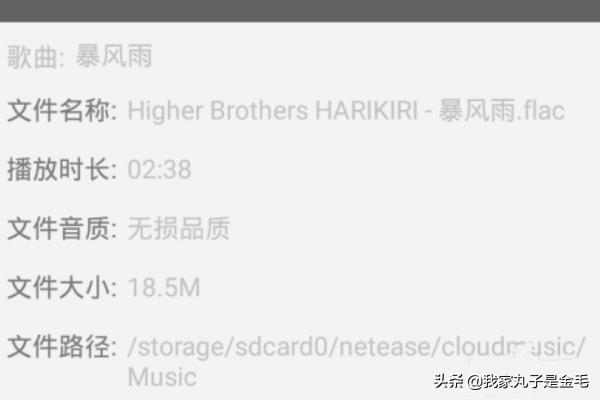 mp3批量下载-mp3批量下载网站