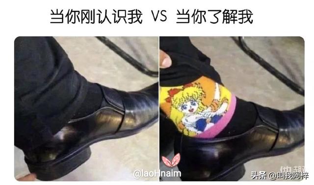 [虎鲸表演疑受伤流血]为什么鲨鱼会攻击人类？