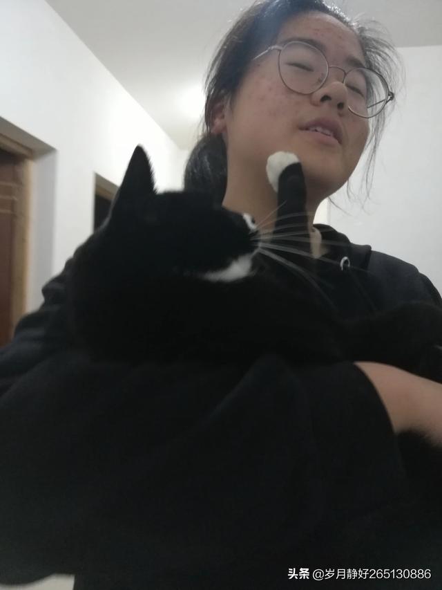 家里小孩子想养猫大人不同意怎么办,第1张