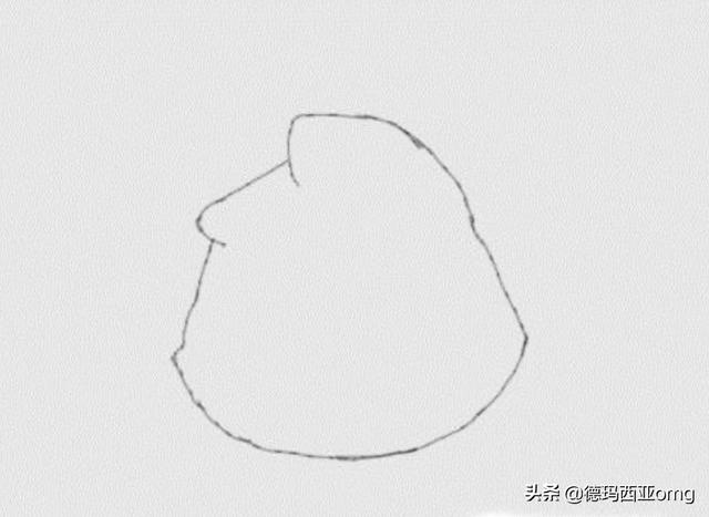 画熊猫怎么画(猫怎么画)