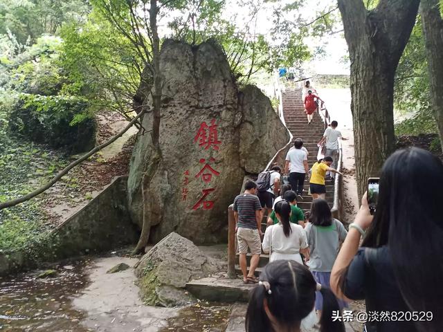 花园种植秋葵好吗图片大全,花园种植秋葵好吗图片大全大图