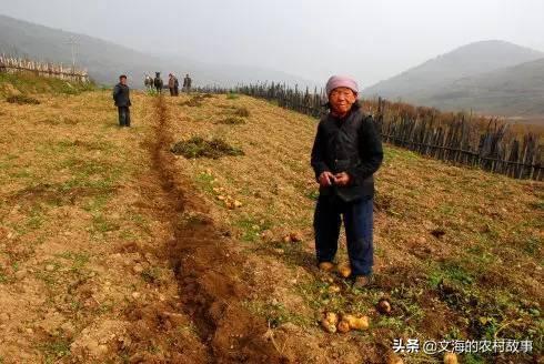 随身空间回村种田_随身空间种田文现代