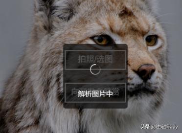 传图识字传图识字免费版