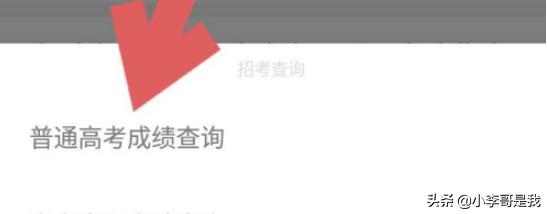 河北高考成绩查询系统入口官网，河北高考成绩查询系统入口官网2023版