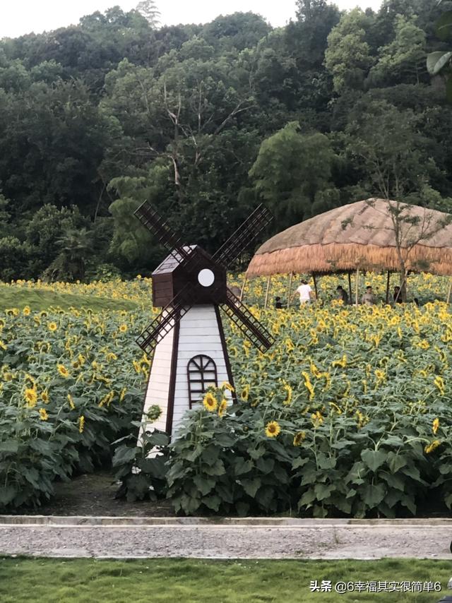 请问杭州萧山50岁的人适合什么工作？