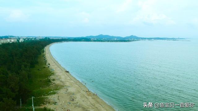 兴城海鲜自助厦门美食推荐,兴城海鲜自助餐厅