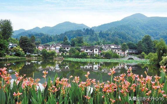 [生态酒店景观设计的作用]什么是酒店的生态环境？