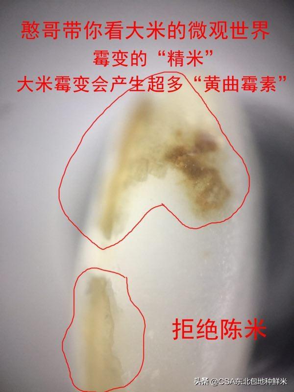 冰箱里冻了两年的羊肉能吃吗,第4张