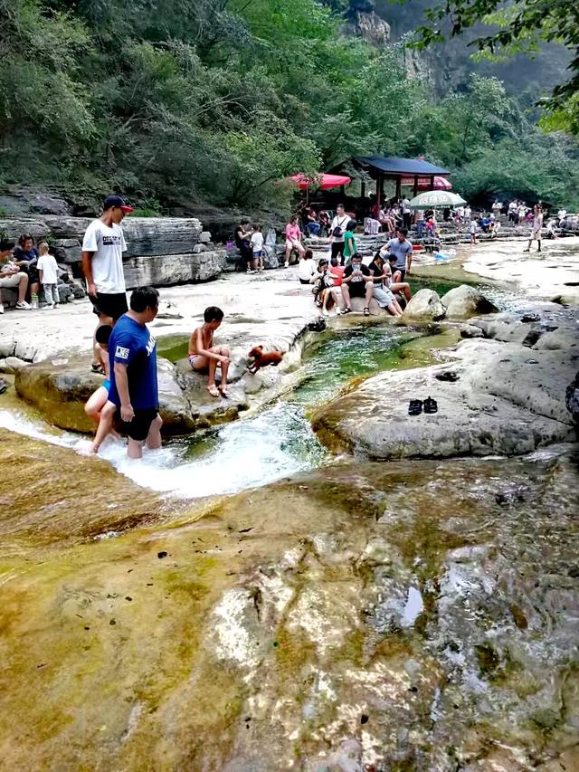怎么带狗狗出门旅游,第7张