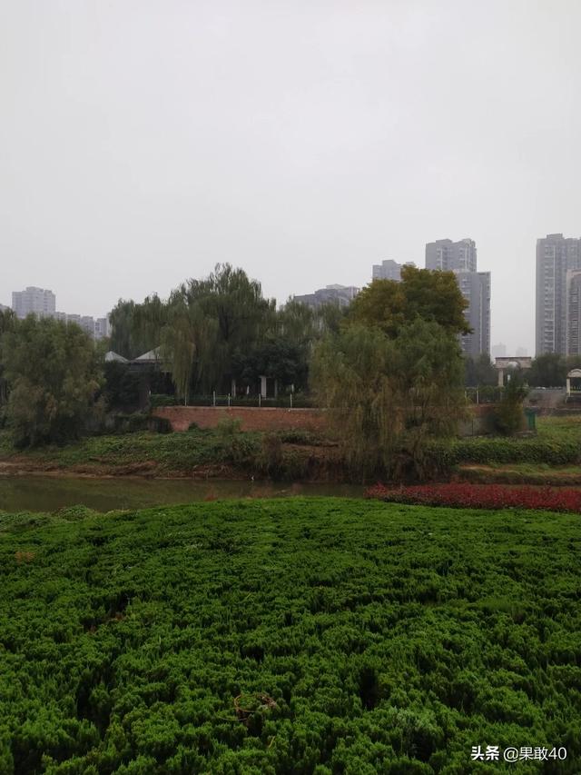 食谱图案设计 餐厅图片,食谱图案设计 餐厅图片大全