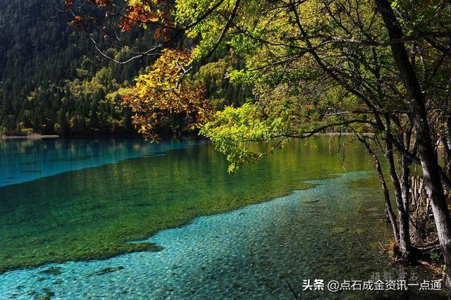 九寨沟本地参团-九寨沟本地参团一日游