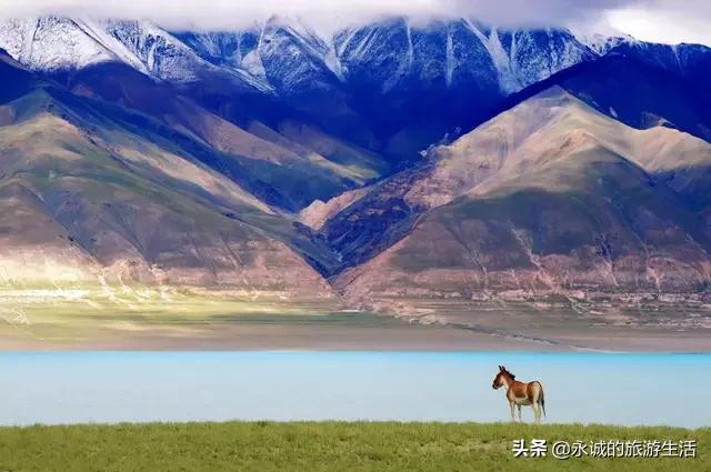 川藏线旅游几个人一起去比较好