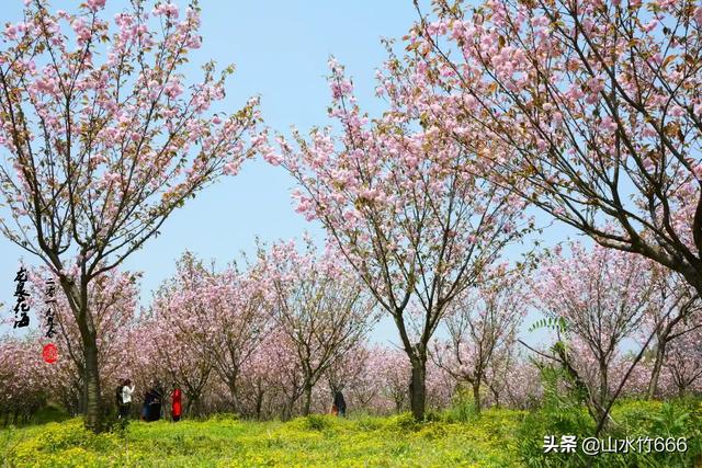 黄冈周边旅游景点大全， 黄冈周边旅游景点大全图片