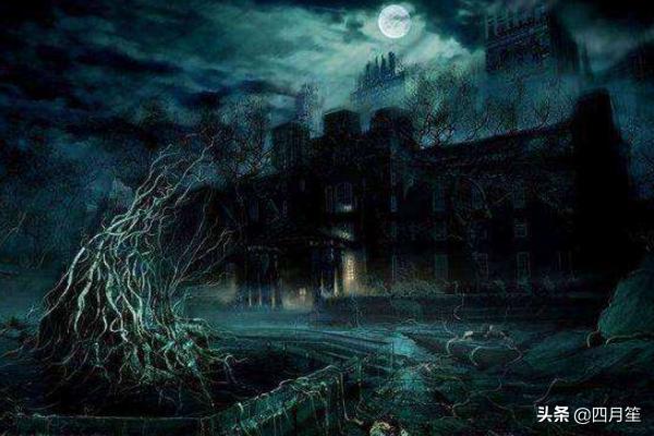 快手上面作品有哪些分类/