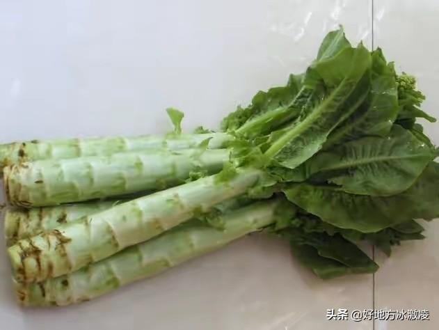 哪些蔬菜是长的快的水果(图3)