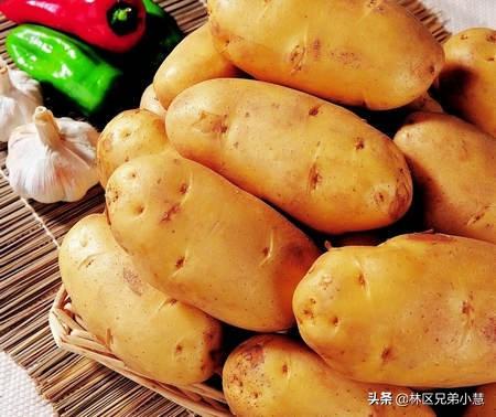 植物有哪些（植物大全100种）