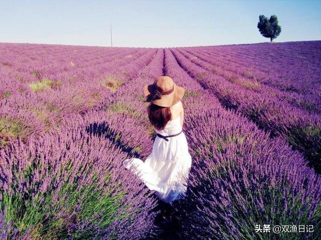 青岛圣瓦伦丁婚纱摄影，青岛圣瓦伦丁婚纱摄影有限公司