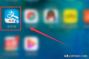 在线查违章车辆查询官网，在线查违章车辆查询官网免费