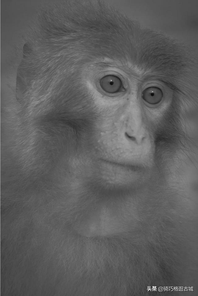 全画幅相机如何搭配镜头(图1)