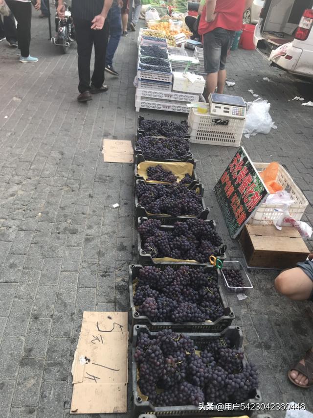 宁波市这个地方怎么样