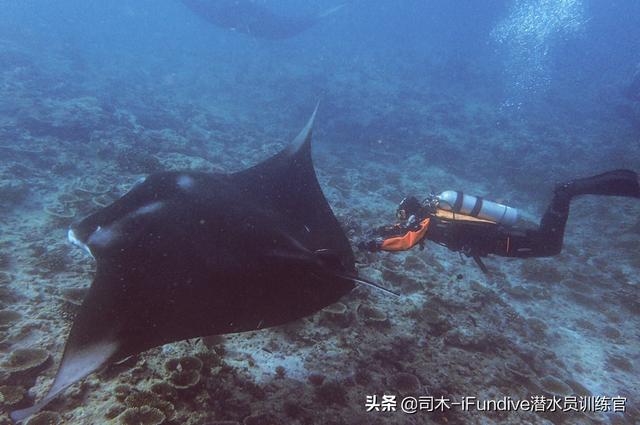 短暂海外生活，短暂海外生活英文