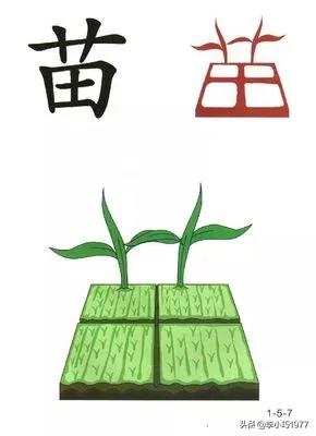 请问三年级孩子识字能力差，学过的生字老忘记，怎么办？