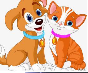 小狗和小猫之间会发生什么故事