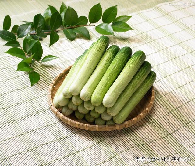 阳台种植秋瓜如何搭架,阳台种植秋瓜如何搭架子