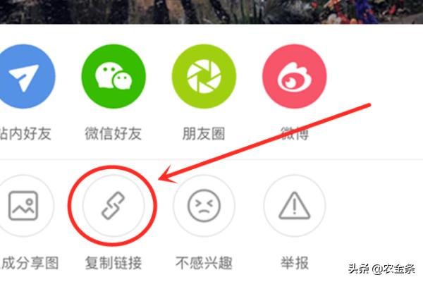 小红书怎么去水印（小红书怎么去除水印？）