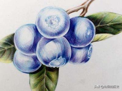 画衣服如何搭配颜色好看(图3)