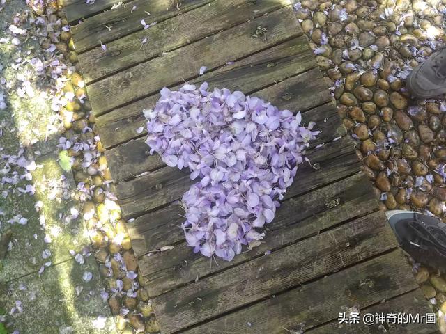 女人叫我哥哥什么意思(图2)