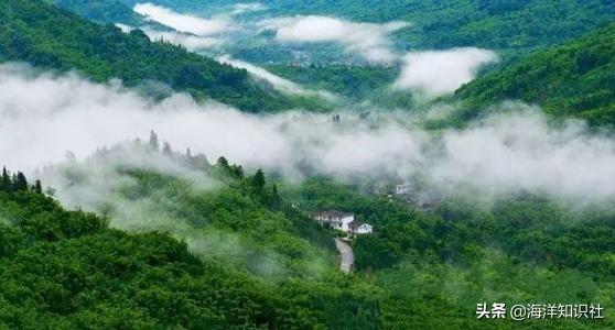 [冷空气横扫大江南北]为什么每年清明节全国都会下雨？