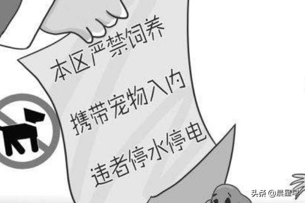小区养小狗怎么投诉