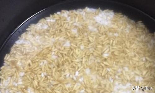 电饭锅怎么煮粥（用电饭煲煮粥的步骤？）