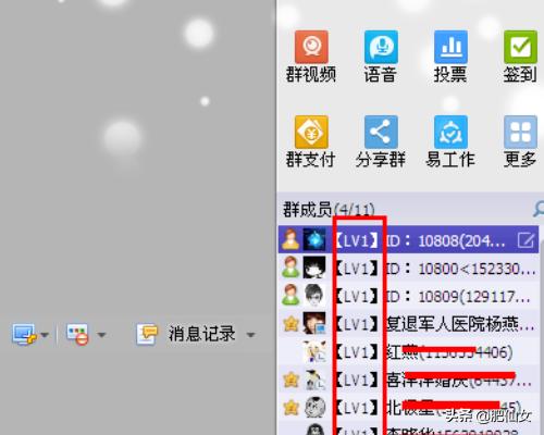 如何在qq群聊天对话框中显示和修改成员等级